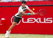 开云下载-包含日本网球队逆转西班牙网球队，阿尔卡拉斯制霸全场的词条