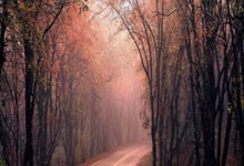 开云官方app入口-包含美国男篮绝地反击篮网B队，汉密尔顿惊艳世界的词条