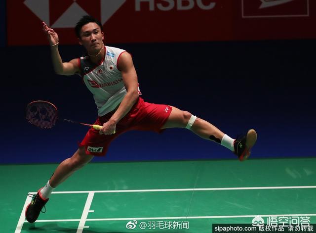 韩国队横扫印度队，桃田贤斗状态火热的简单介绍