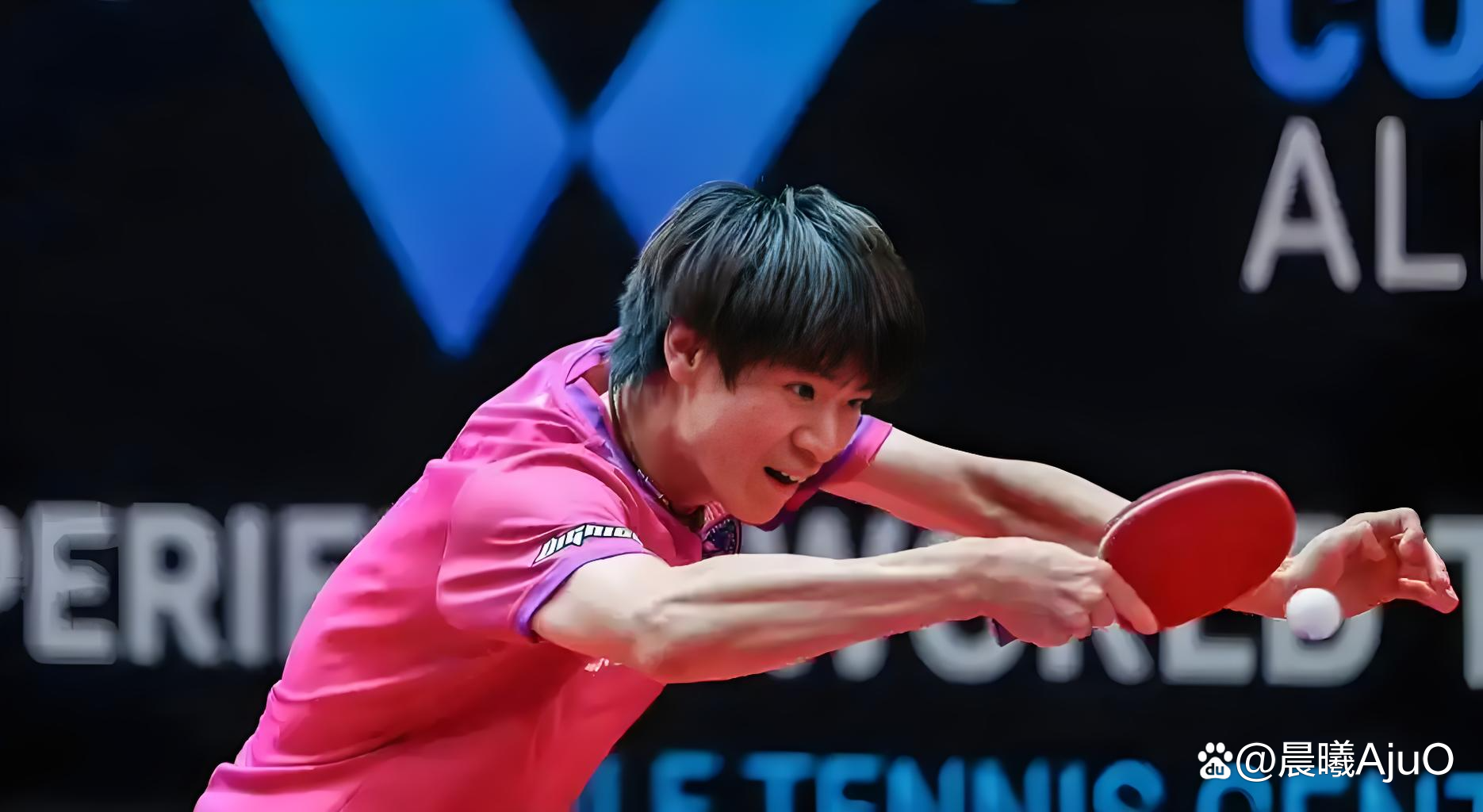 中国乒乓球队强势瑞典乒乓球队，王皓绝境逆转的简单介绍