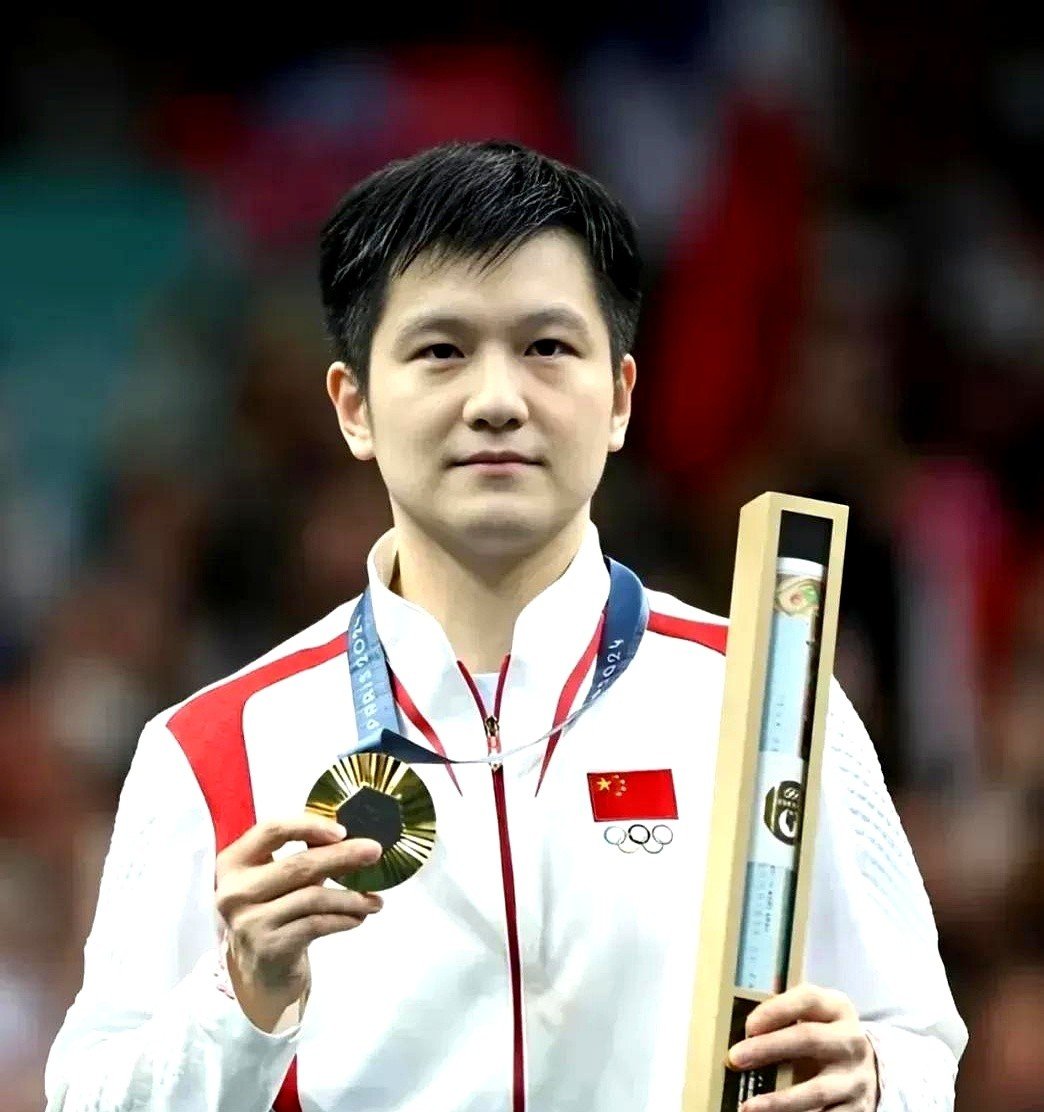 中国乒乓球队强势瑞典乒乓球队，王皓绝境逆转的简单介绍