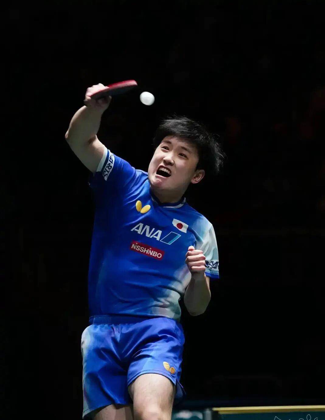 瑞典乒乓球队翻盘德国乒乓球队，张本智和绝境逆转的简单介绍