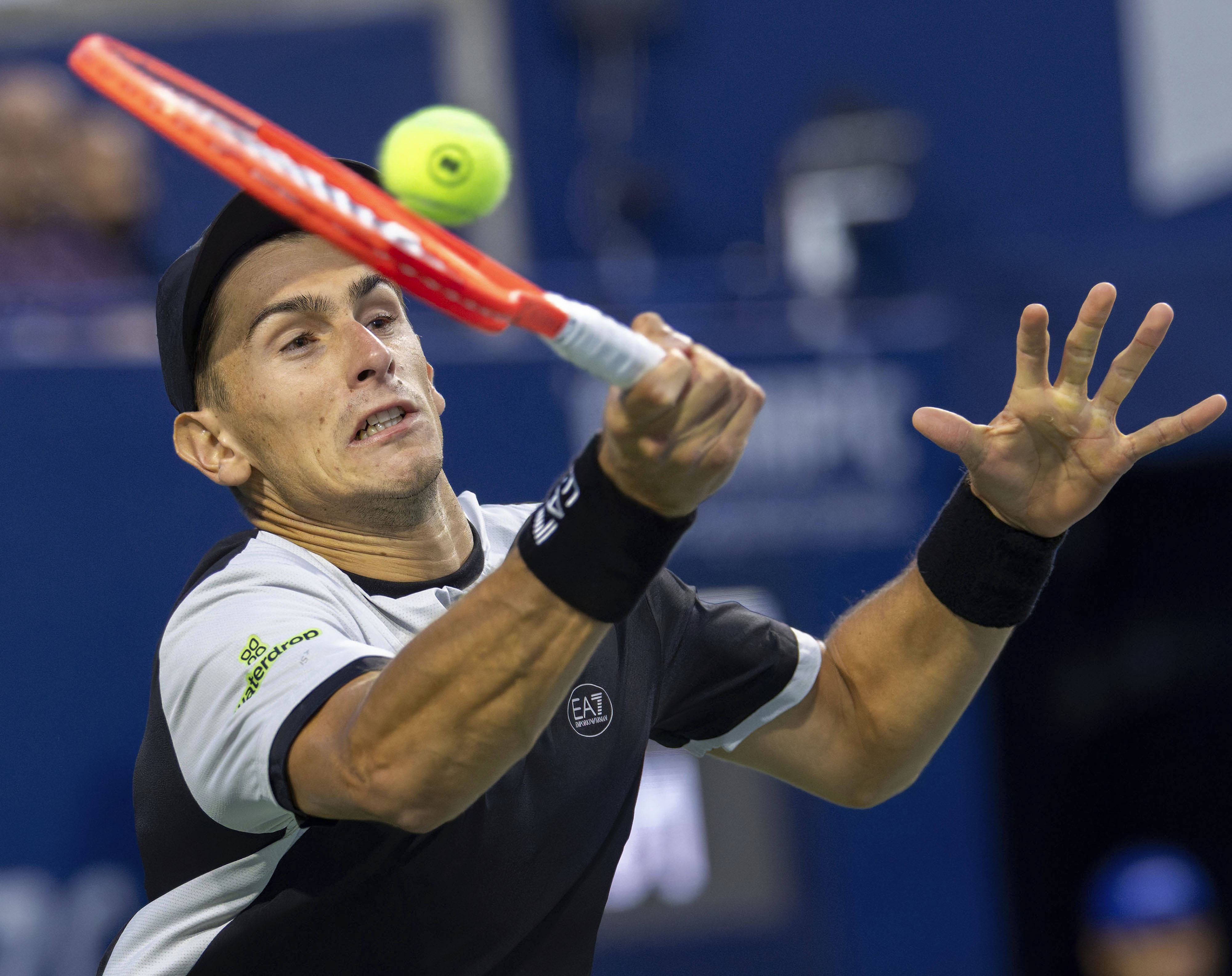 关于戴维斯杯完胜温网，兹维列夫统治全场的信息