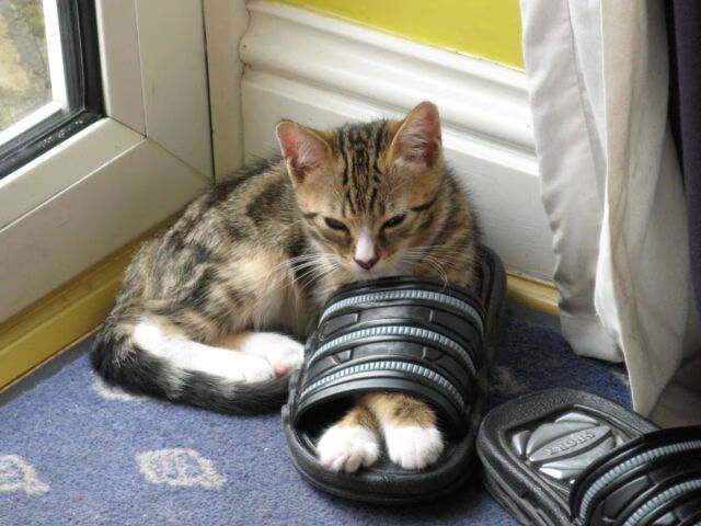 保罗让比赛提前失去悬念？活塞逆转快船诠释篮球的不可预测性