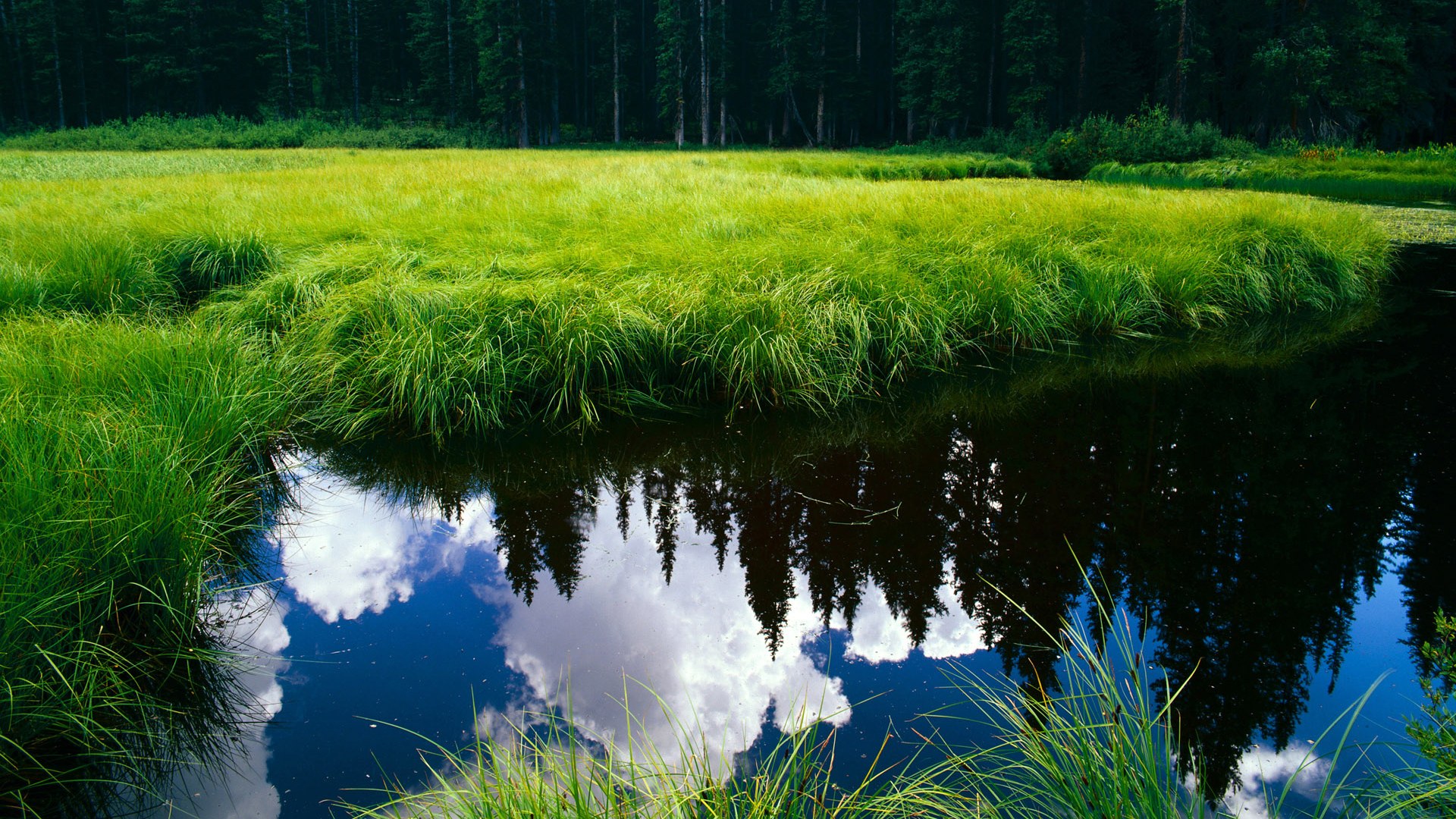 当东方狼烟遇上北美魔法，广东队精神如何在哈利伯顿的传奇之夜重生